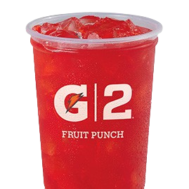 G2 Gatorade® Fruit Punch